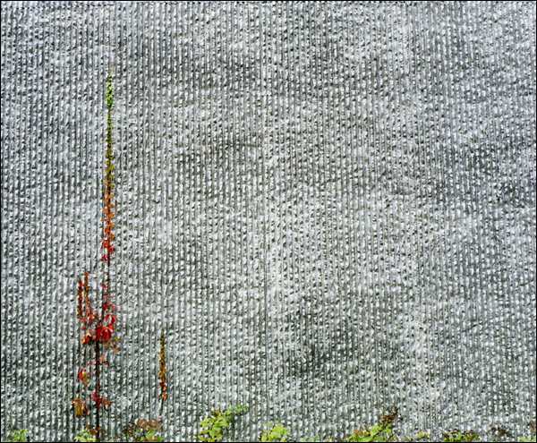 Wall